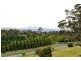 18 Mountain View Crescent, Grindelwald TAS 7277