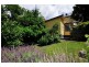 37 French Street, Launceston TAS 7250