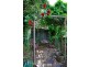 37 French Street, Launceston TAS 7250