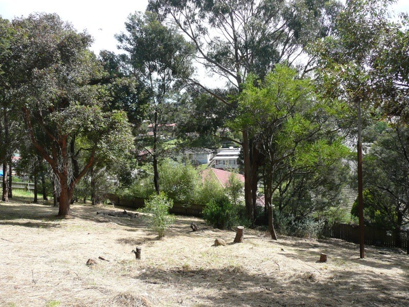 49 Cherry Road, Trevallyn TAS 7250