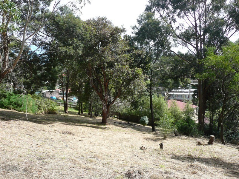 49 Cherry Road, Trevallyn TAS 7250