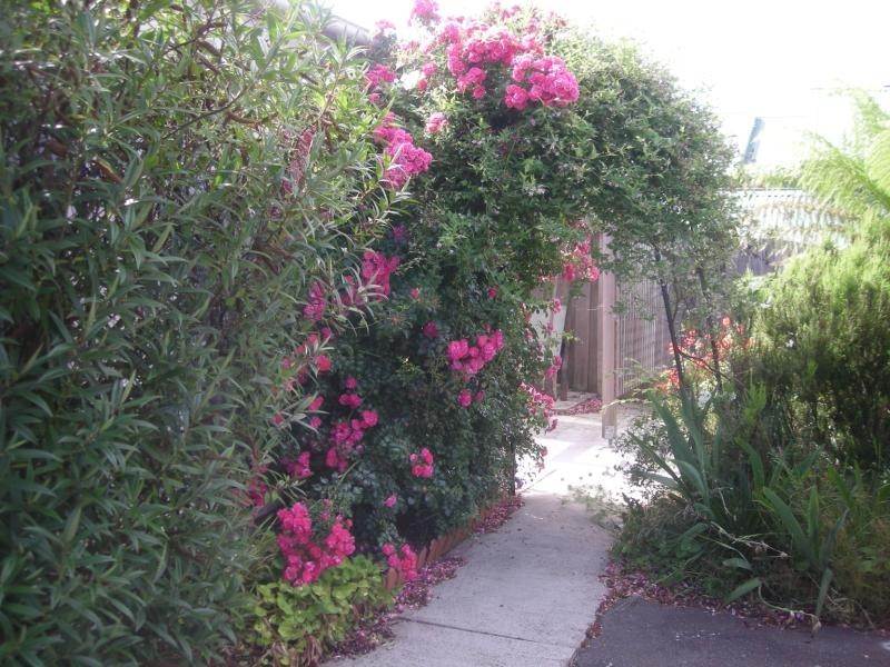2/25 Floreat Cres, Trevallyn TAS 7250