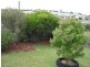 392 St Leonards Road, St Leonards TAS 7250