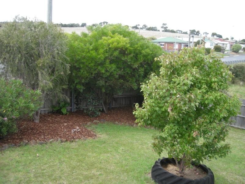 392 St Leonards Road, St Leonards TAS 7250