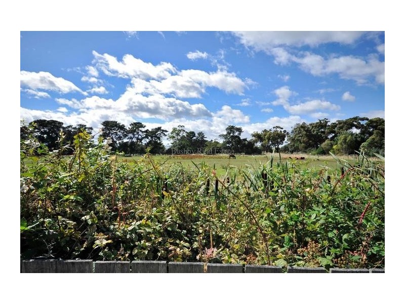 47 Cleghorn Avenue, Riverside TAS 7250