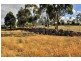 9 Ridgewood Lane, Kings Meadows TAS 7249