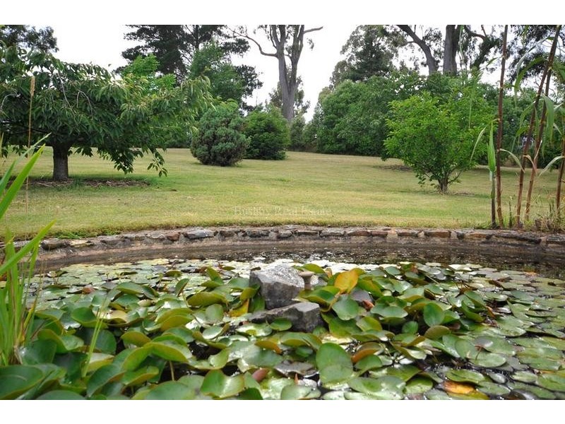 29 Devon Hills Road, Devon Hills TAS 7300