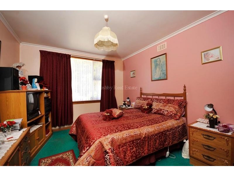 17 Benjamin Street, Trevallyn TAS 7250