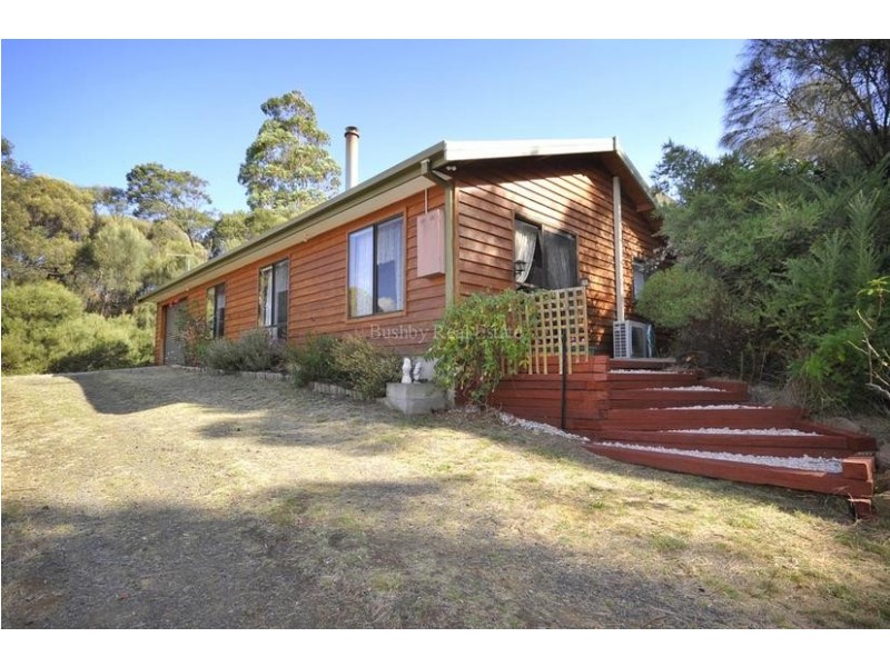 49 Newlands Street, Trevallyn TAS 7250