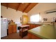 49 Newlands Street, Trevallyn TAS 7250