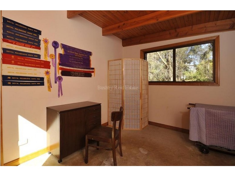 49 Newlands Street, Trevallyn TAS 7250
