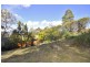 49 Newlands Street, Trevallyn TAS 7250