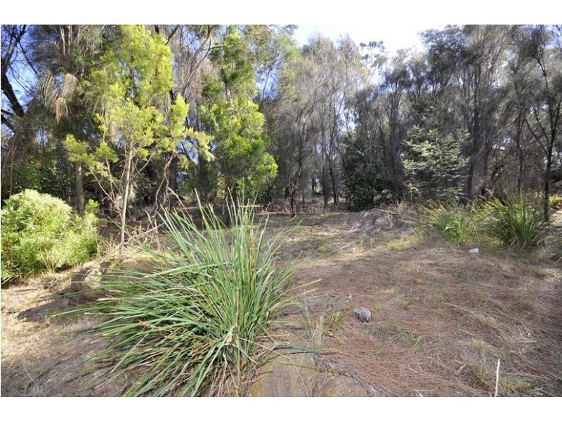 49 Newlands Street, Trevallyn TAS 7250