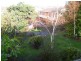 3 Wentworth Street, Newstead TAS 7250