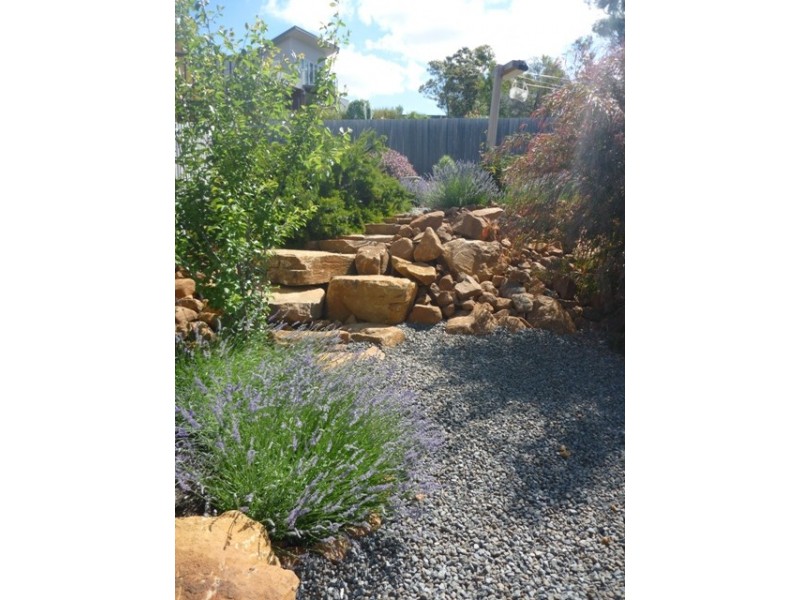 19 Allison Avenue, Riverside TAS 7250