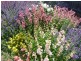 19 Allison Avenue, Riverside TAS 7250