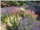 19 Allison Avenue, Riverside TAS 7250