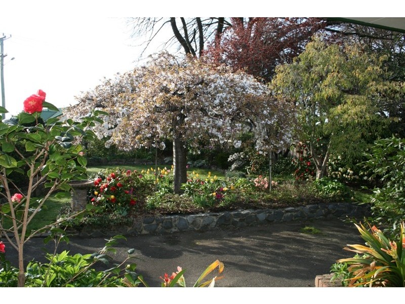96 Wellington Street, Longford TAS 7301
