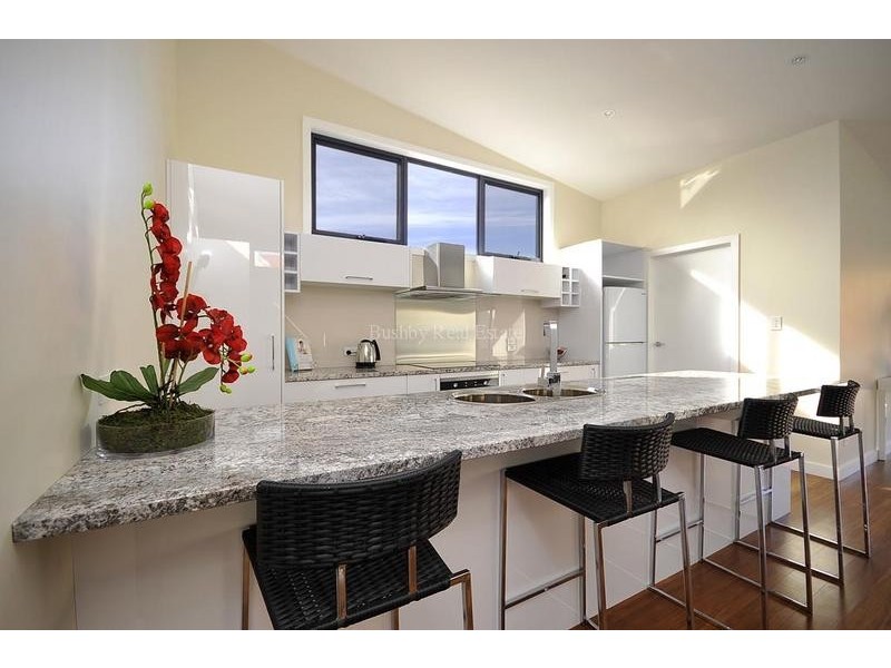 119 Balfour Street, Launceston TAS 7250