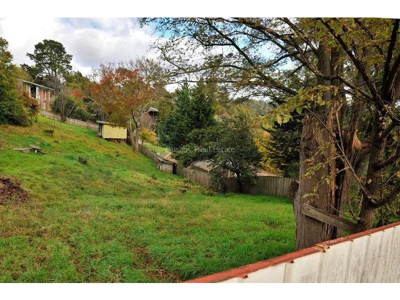 172 Penquite Road, Norwood TAS 7250
