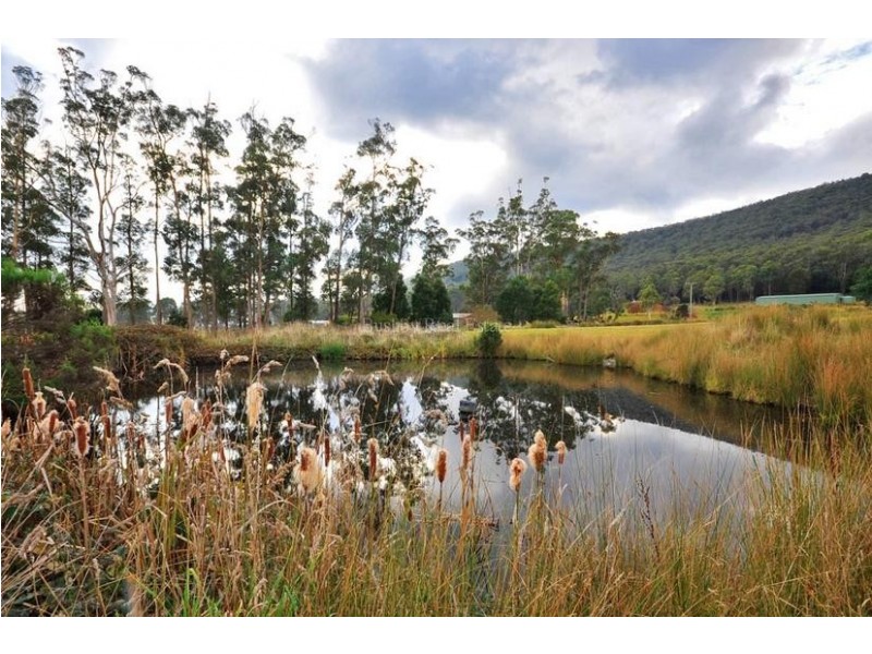 180 Greaves Road, Flowery Gully TAS 7270