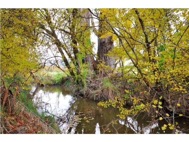 180 Greaves Road, Flowery Gully TAS 7270