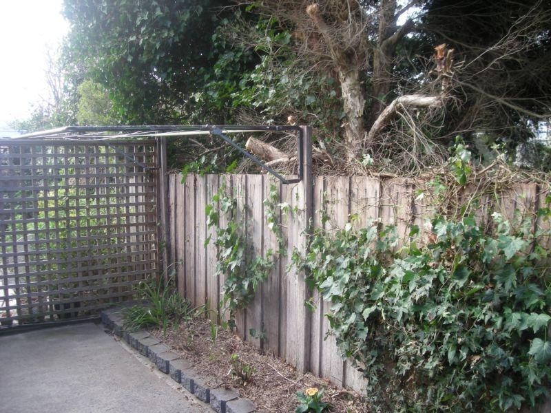 5/15 Currawong Place, Riverside TAS 7250