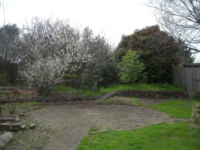 277 St Leonards Road, St Leonards TAS 7250