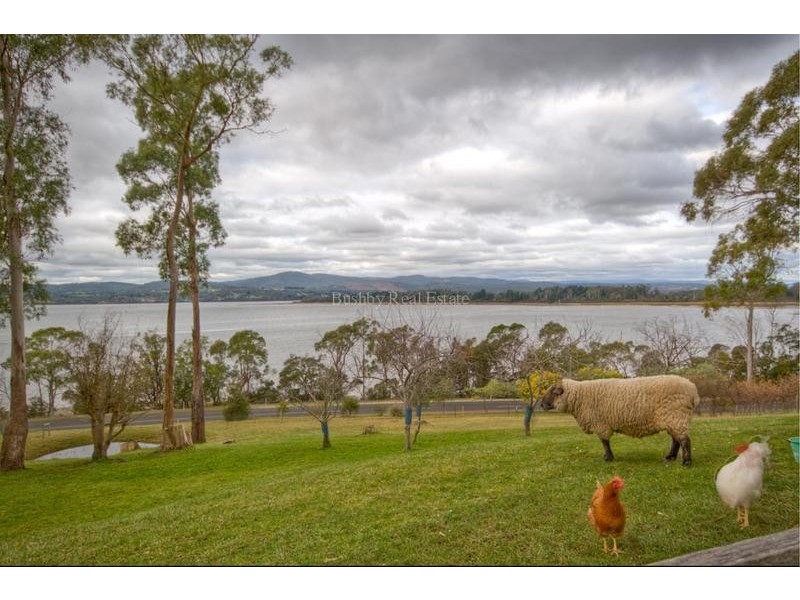 225 Deviot Road, Deviot TAS 7275