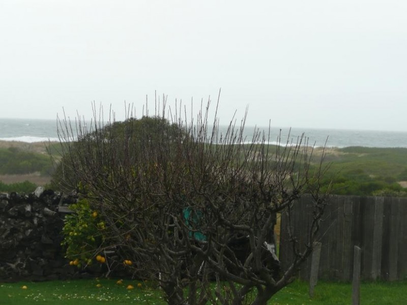 131 Scamander Avenue, Scamander TAS 7215