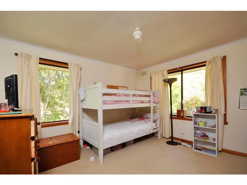 82 New World Avenue, Trevallyn TAS 7250