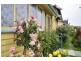 19 Moore Street, Invermay TAS 7248