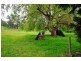 158 Illawarra Road, Perth TAS 7300