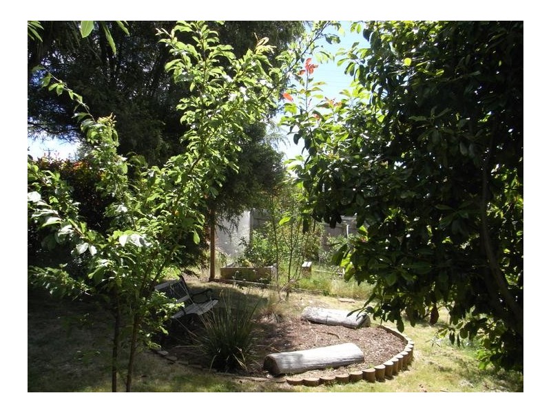 11 Coulter Street, Trevallyn TAS 7250