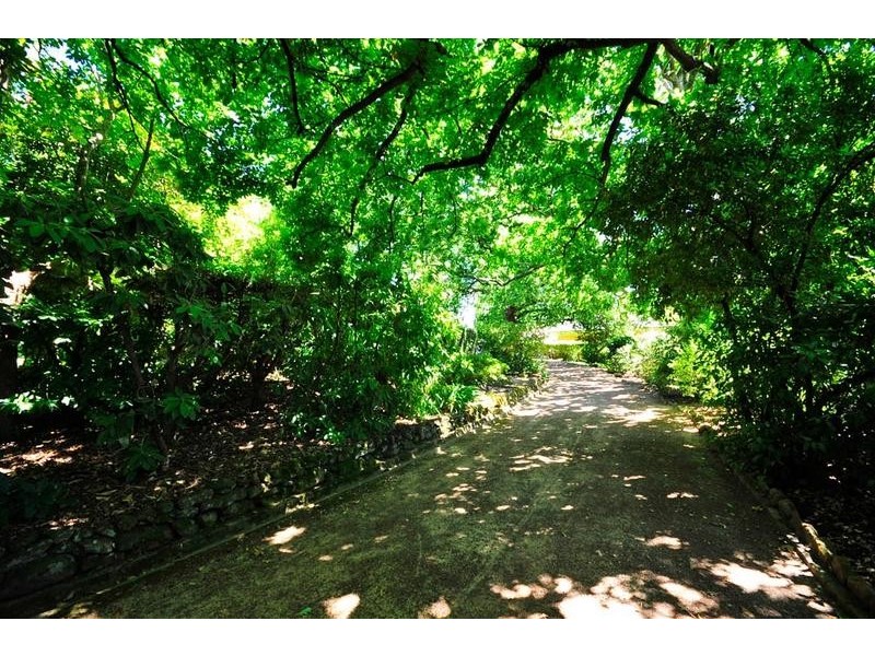 13 Claremont Street, East Launceston TAS 7250