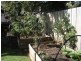 62 David Street, Newstead TAS 7250