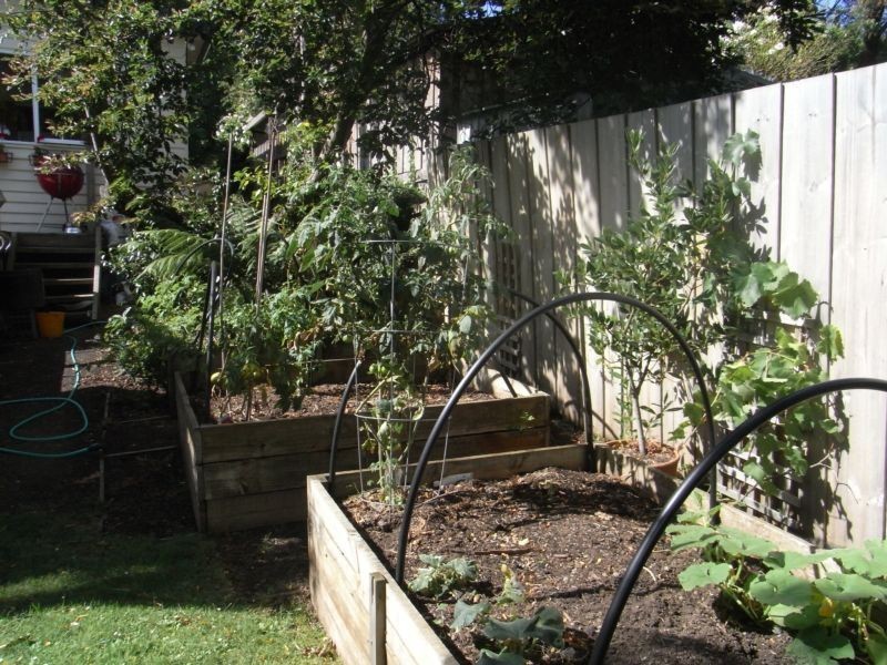 62 David Street, Newstead TAS 7250