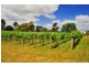 2 Craigburn Road, Hillwood TAS 7252