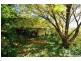 15 West Tamar Road, Trevallyn TAS 7250