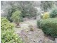 19 Veulalee, Trevallyn TAS 7250