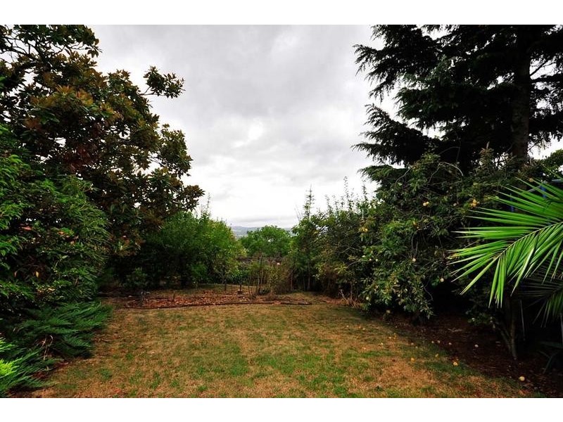 6 York Street, Launceston TAS 7250