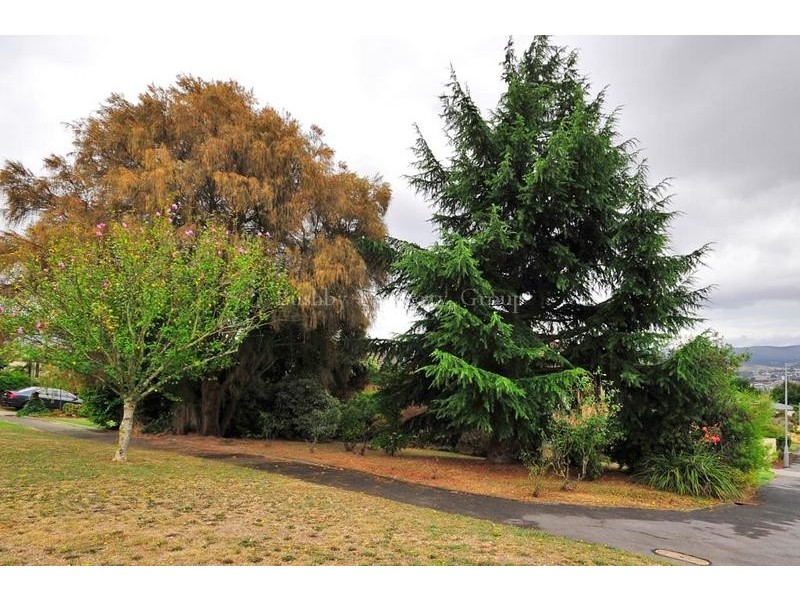 15 Strahan Road, Newstead TAS 7250