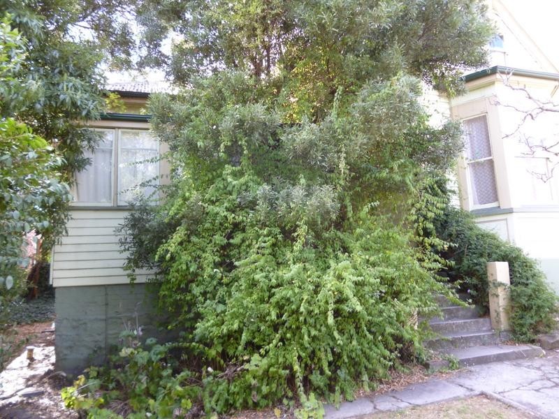 1/179 Wellington Street, Launceston TAS 7250