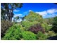 23 Veulalee Avenue, Trevallyn TAS 7250