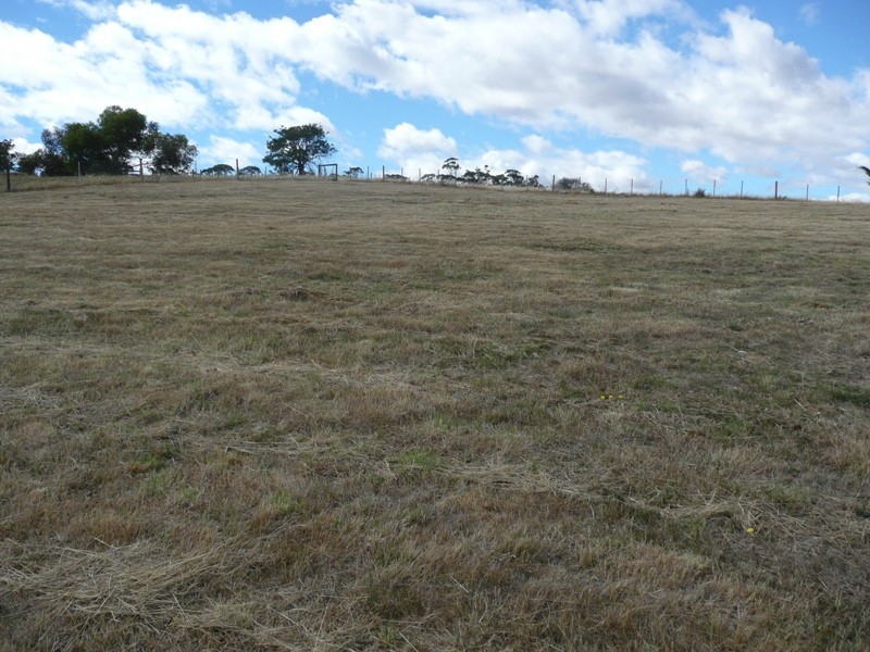 St Leonards TAS 7250