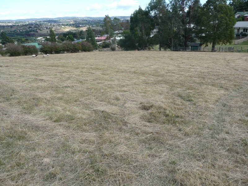 St Leonards TAS 7250