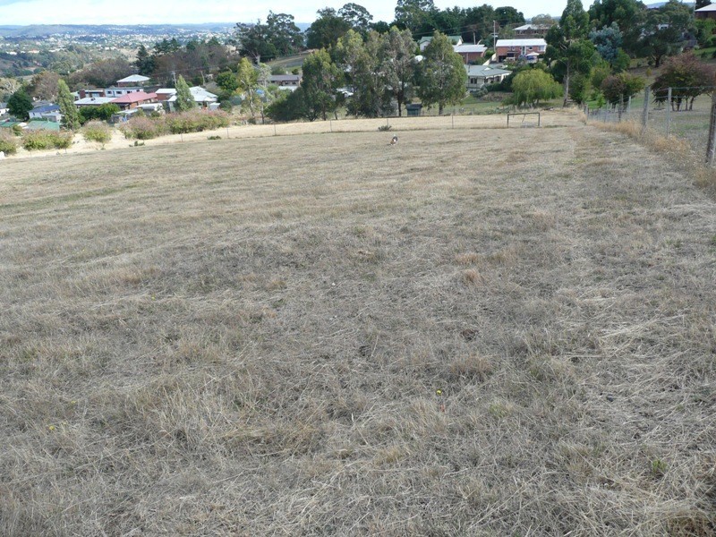 St Leonards TAS 7250