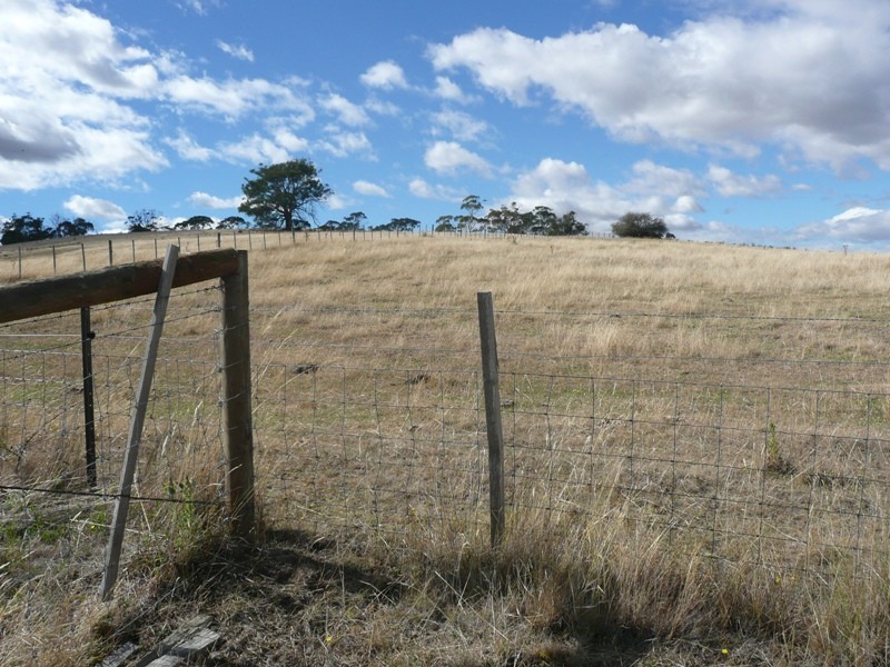 St Leonards TAS 7250