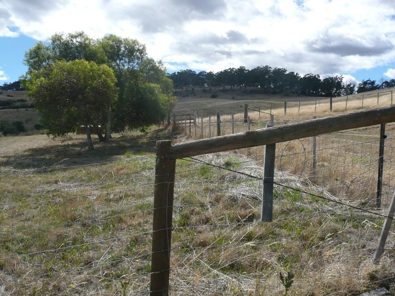 St Leonards TAS 7250