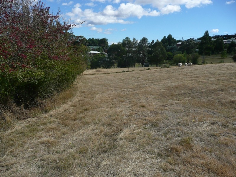 St Leonards TAS 7250